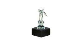 Cup, silver,17 cm