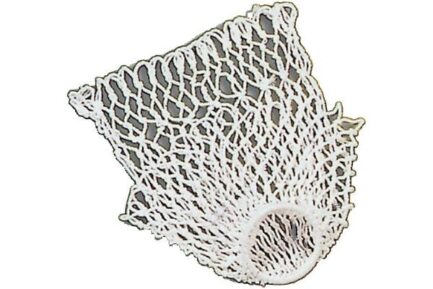 Net for Snooker Pockets, Set