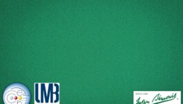 Billiard Cloth Simonis Rapid 300, 195 cm, yellow green