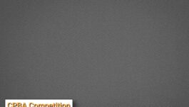 Billiard Cloth, CPBA Competition pre-cut set, grey, 8ft.